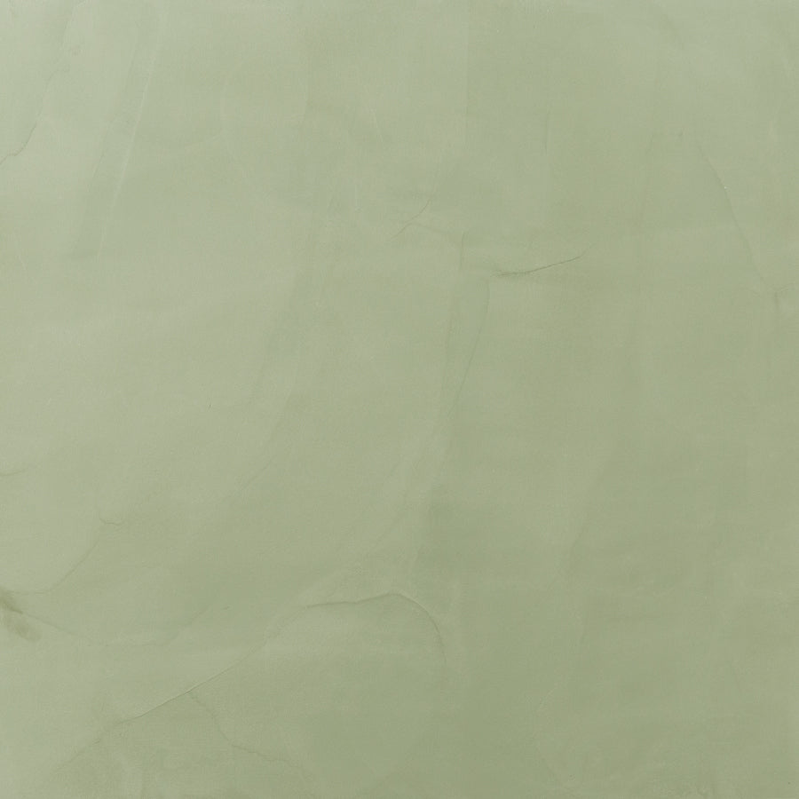 Fórmula de color Fresco Harmony Castillo Cactus - 8oz