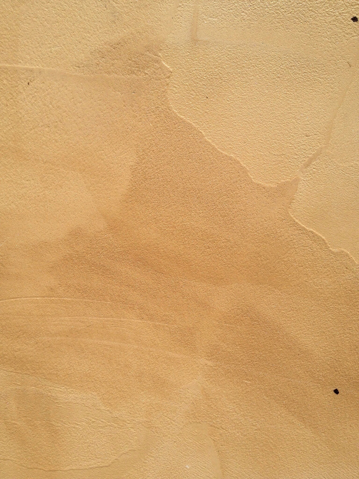 Fresco Harmony Dijon Dom Colour Formula - 8oz