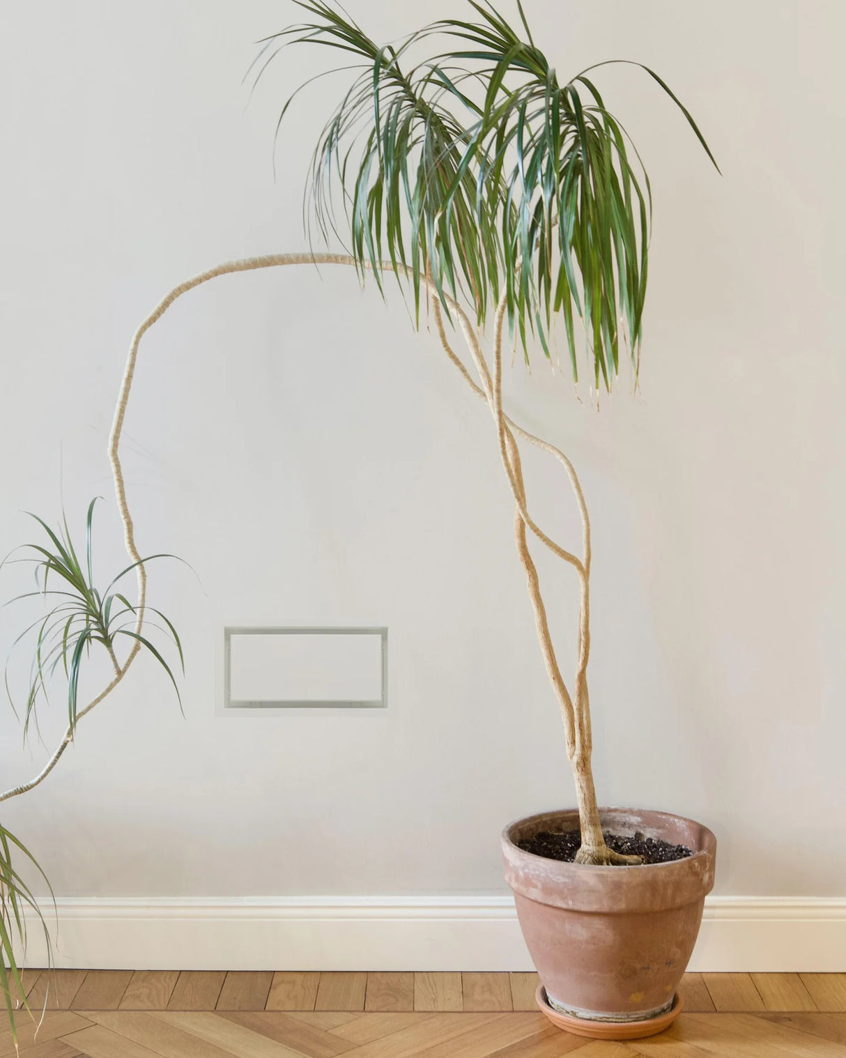 Grille de ventilation murale encadrée Aria Luxe